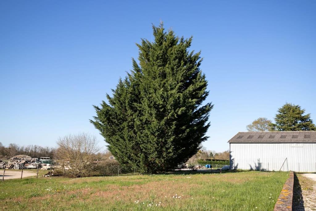 L'Appart Gervaisien Saint-Gervais-la-Forêt Exteriör bild
